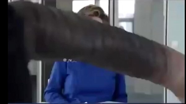 The interview for acceptance of the Job
