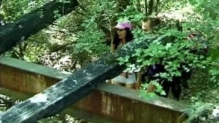 Une bonne baise en forêt, ça vous dit?